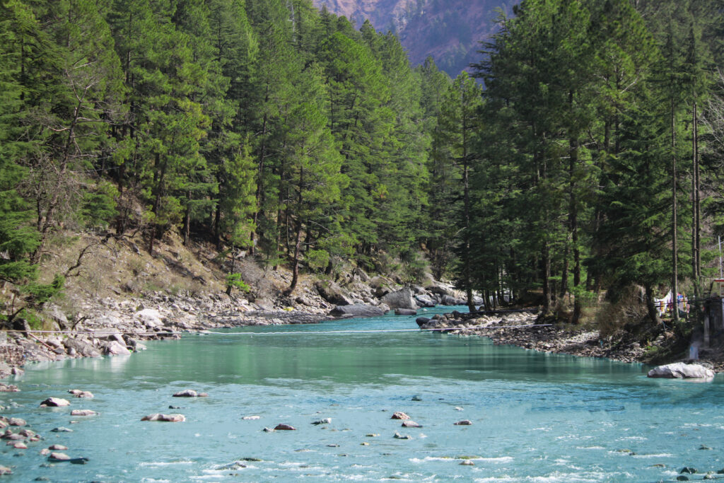 546535fc7c116072.77628373